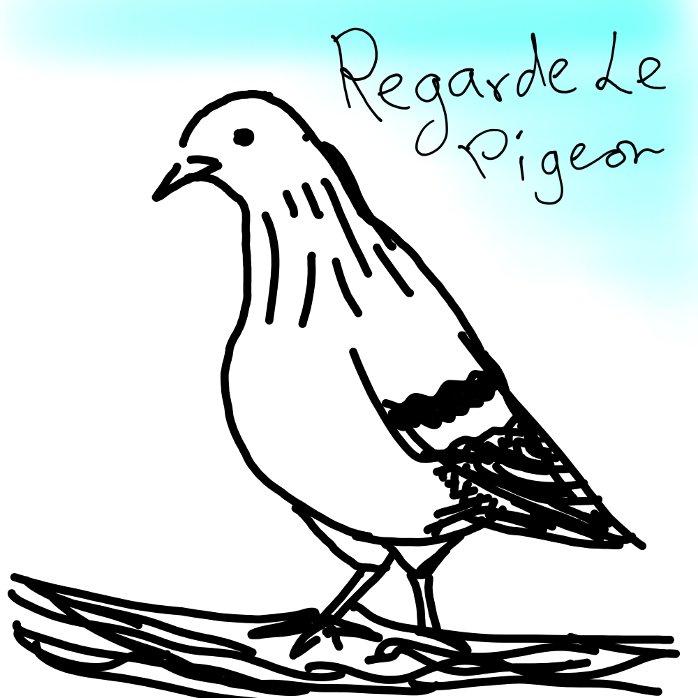Regarde Le Pigeon album cover